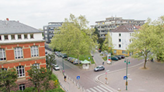 Bild: Paul Glogowski